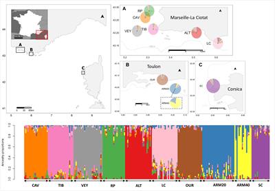 Population Genomics and Lagrangian Modeling Shed Light on Dispersal Events in the Mediterranean Endemic Ericaria zosteroides (=Cystoseira zosteroides) (Fucales)